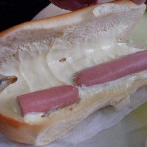 nasty-hot-dog